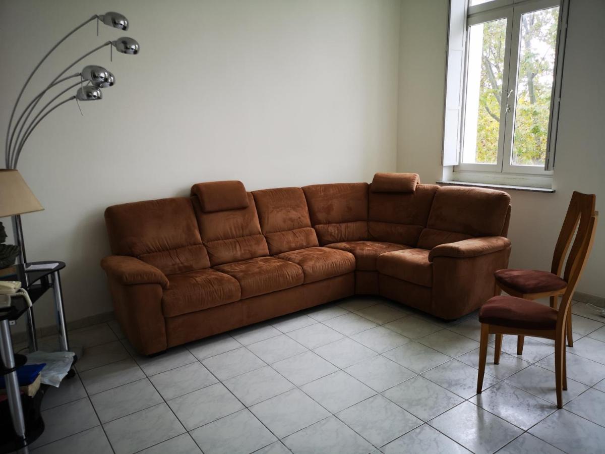Appartement De 105M2, Balcon Sur Cours De La Republique ナルボンヌ エクステリア 写真