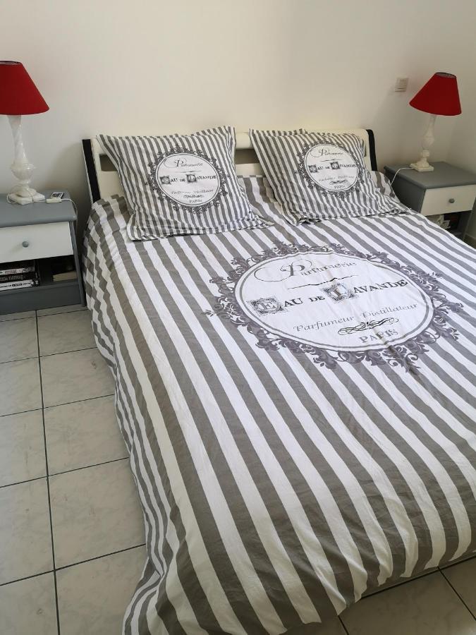 Appartement De 105M2, Balcon Sur Cours De La Republique ナルボンヌ エクステリア 写真
